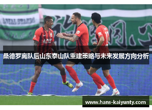 桑德罗离队后山东泰山队重建策略与未来发展方向分析