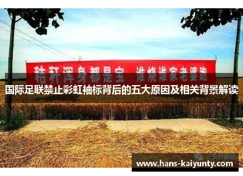 国际足联禁止彩虹袖标背后的五大原因及相关背景解读