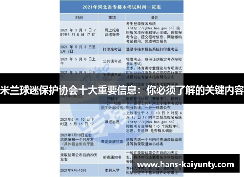 米兰球迷保护协会十大重要信息:你必须了解的关键内容 米兰球迷保护协会十大重要信息:你必须了解的关键内容