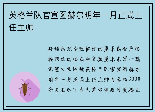 英格兰队官宣图赫尔明年一月正式上任主帅 英格兰队官宣图赫尔明年一月正式上任主帅